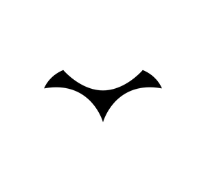 Exray logo